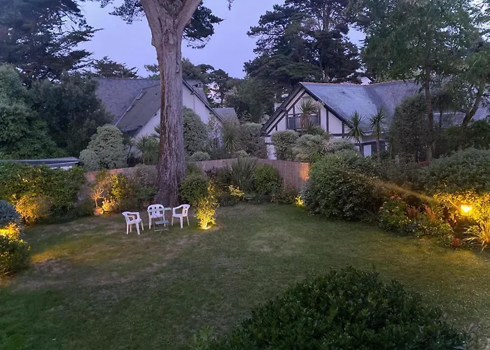 Bauloise D'exception Benoit Willa *